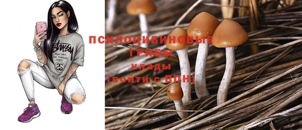 Альфа ПВП Абдулино