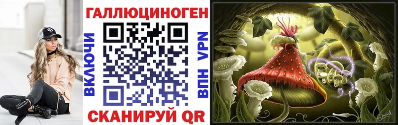 купить наркотик  Красавино  Галлюциногенные грибы Cubensis 